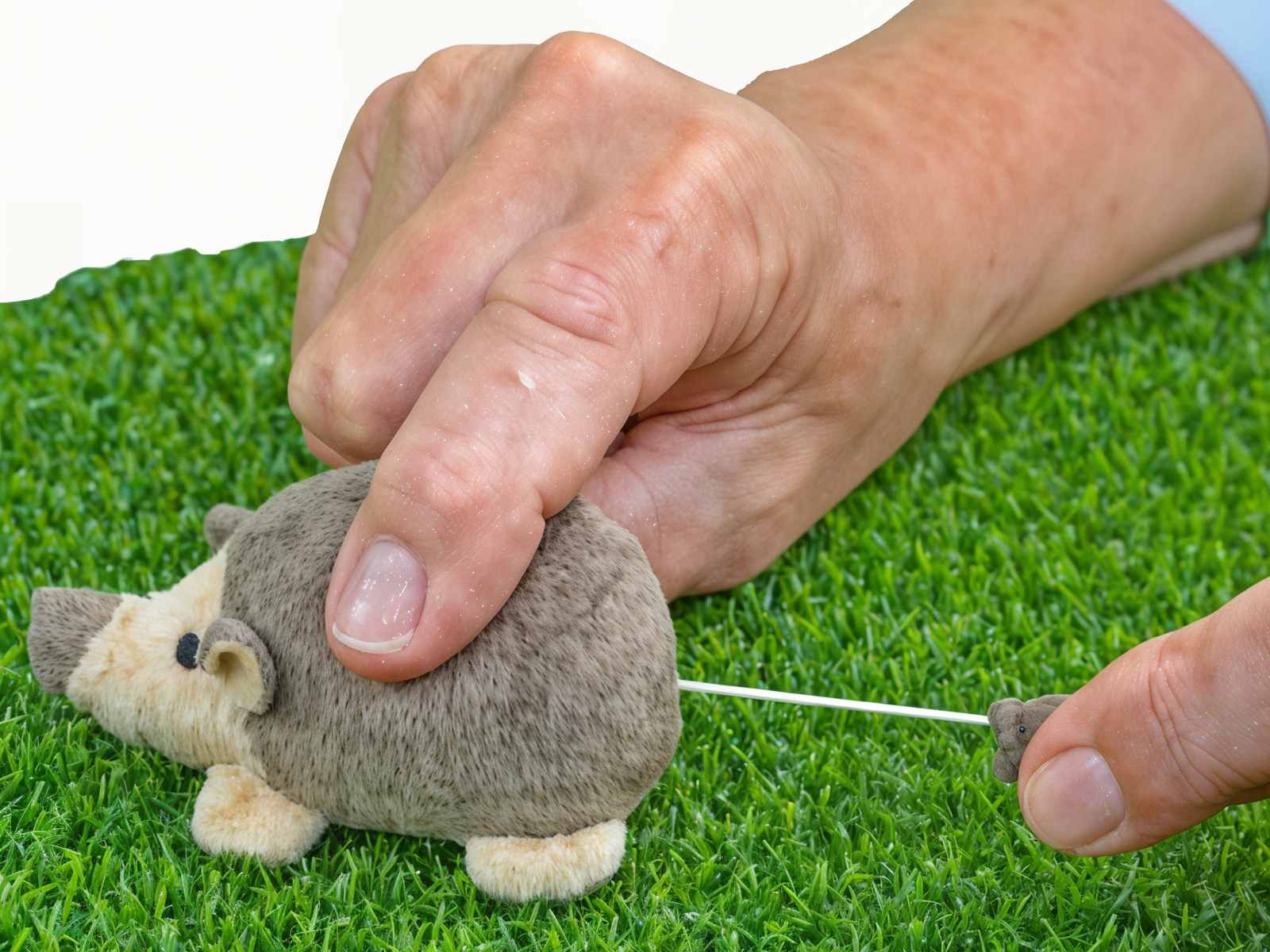 Vibrierender Igel - Lustiges Zappalappaz Tierchen