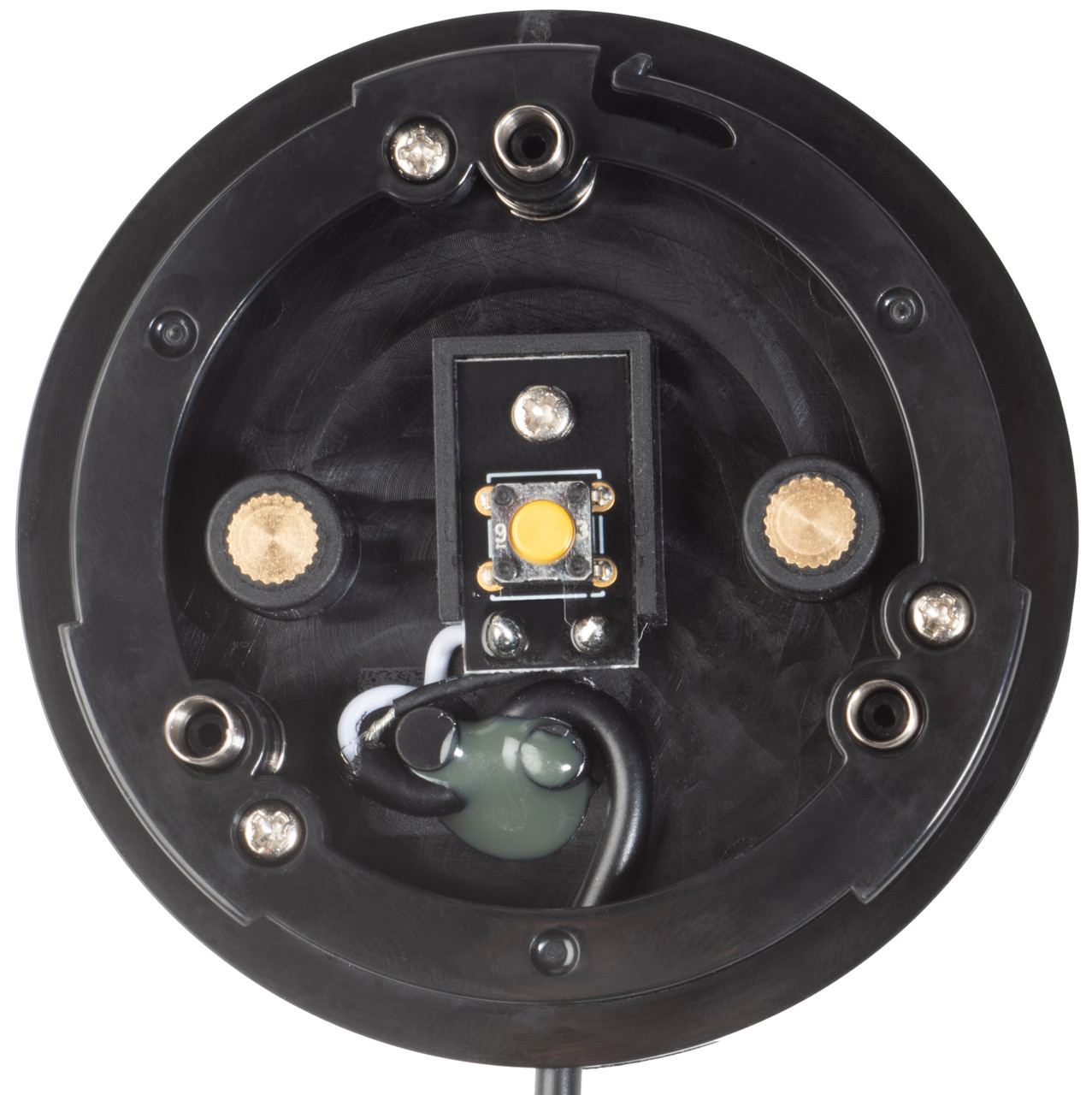 Buddy Button IC