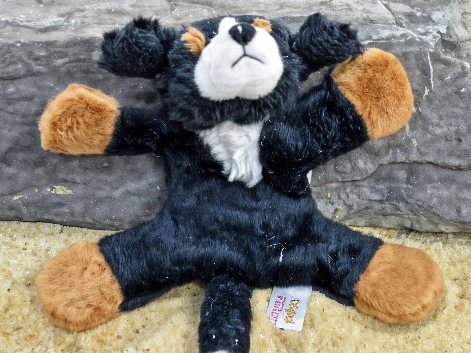 Berner Sennenhündin - Magnetisches Pillitaps Tierchen