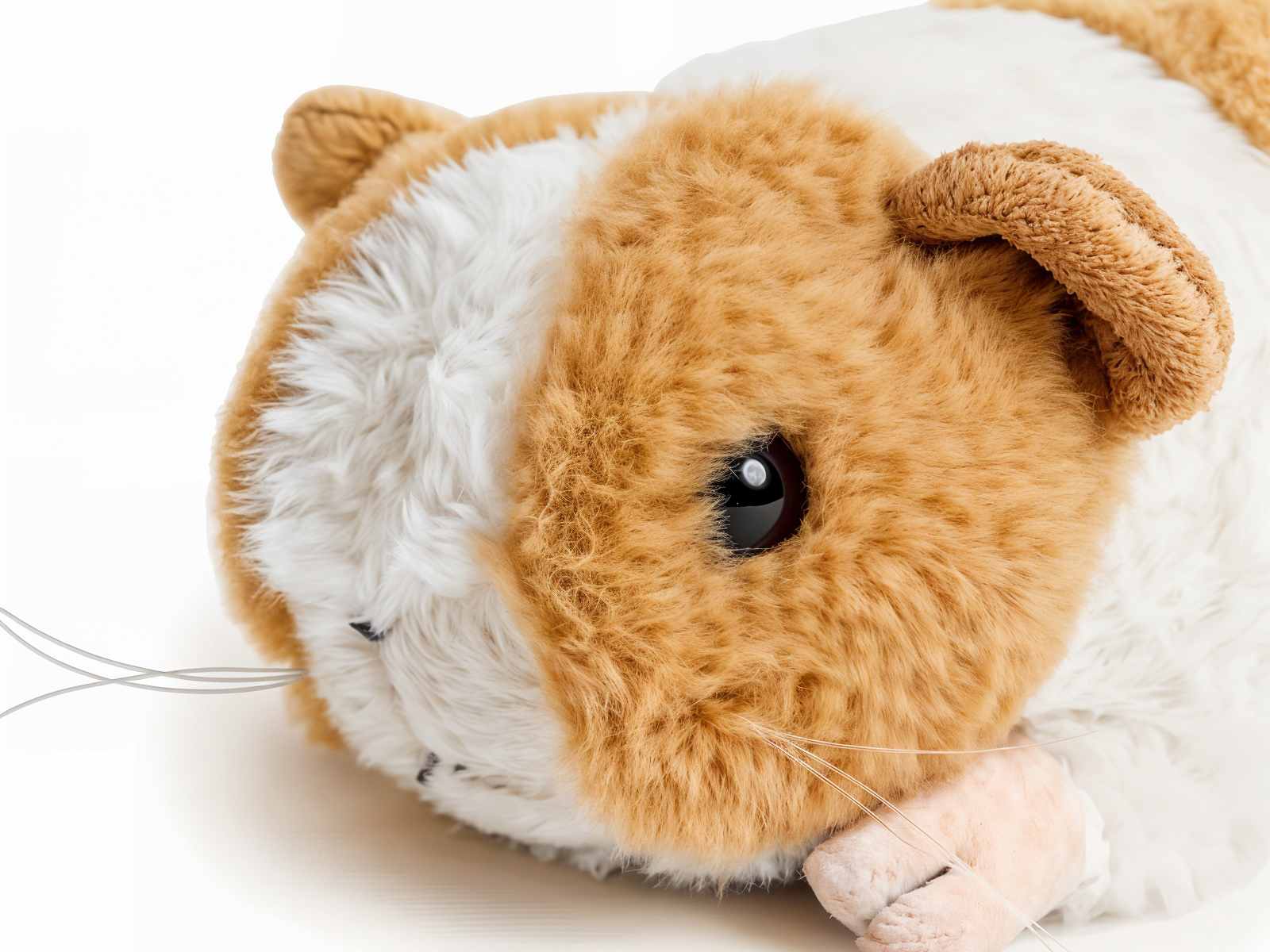 Vibrierendes Meerschweinchen - Lap Buddy