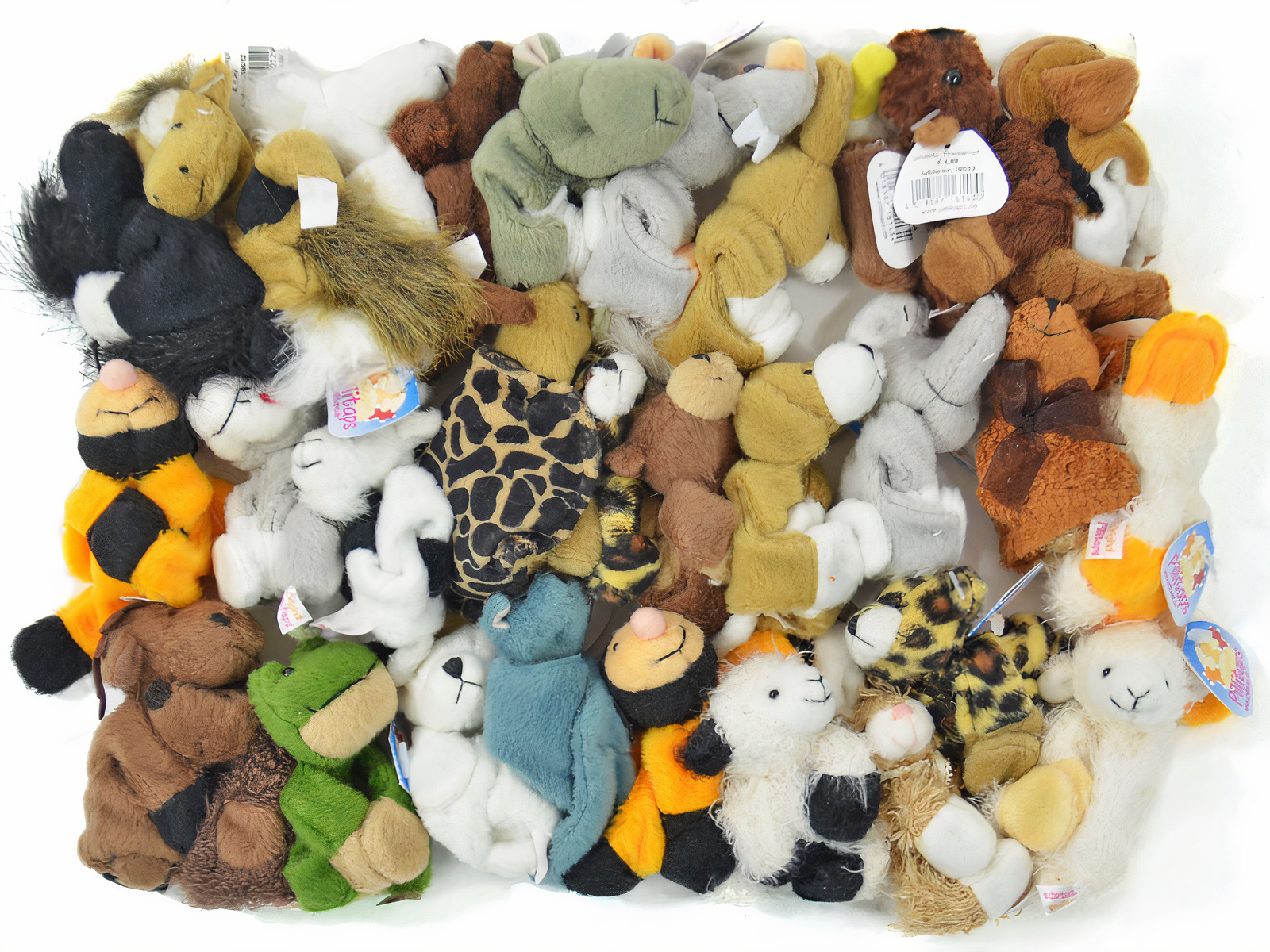 Magnetische Pillitaps Tierchen (30 Stück, gemischt)