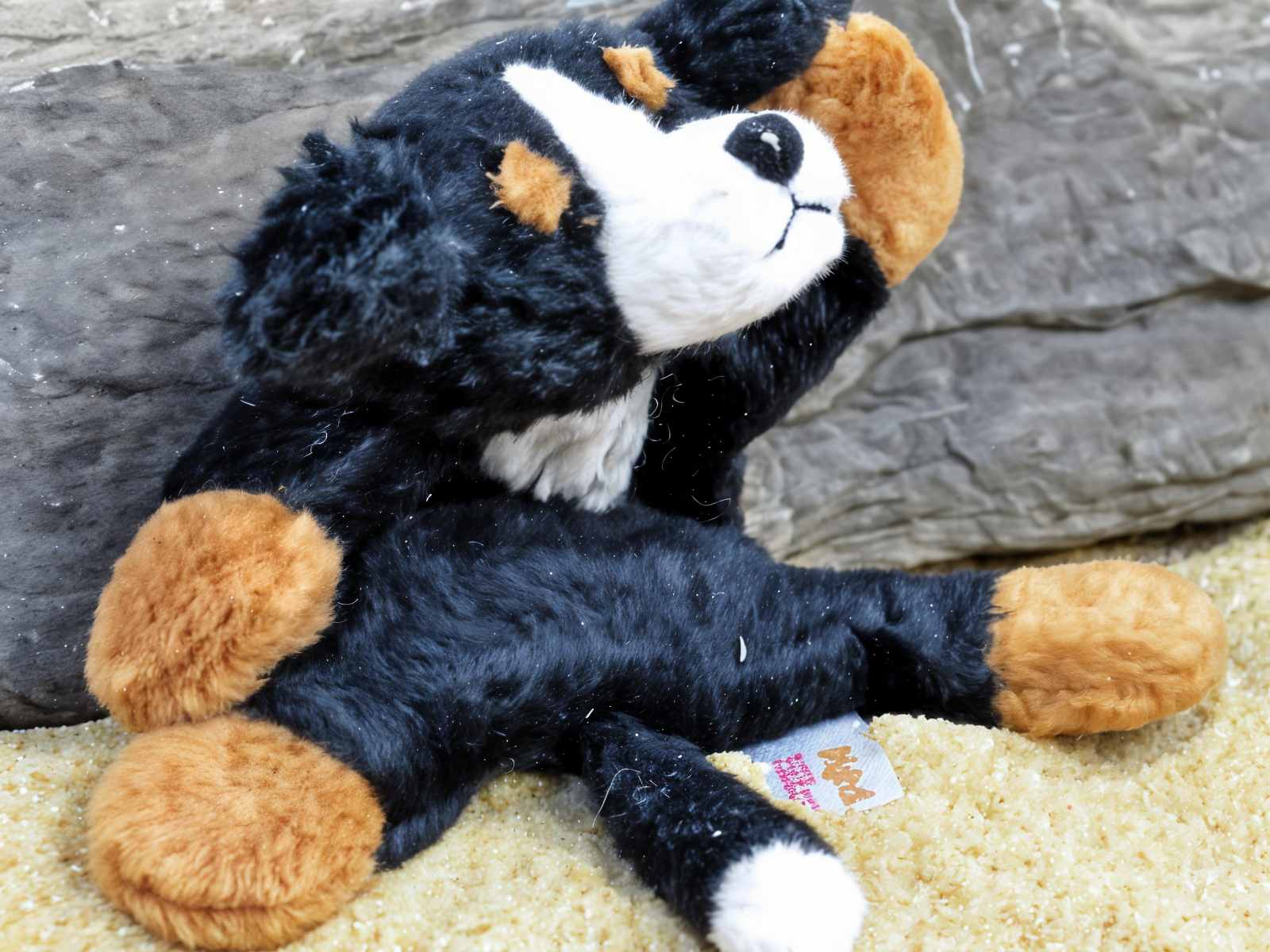 Berner Sennenhündin - Magnetisches Pillitaps Tierchen
