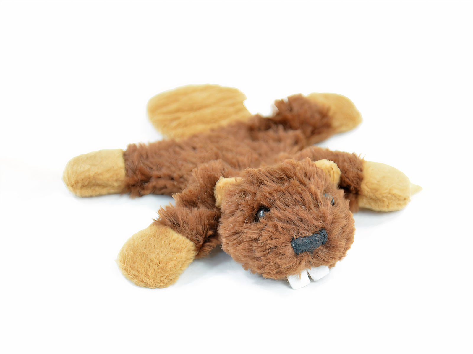 Magnetische Pillitaps Tierchen (30 Stück, gemischt)