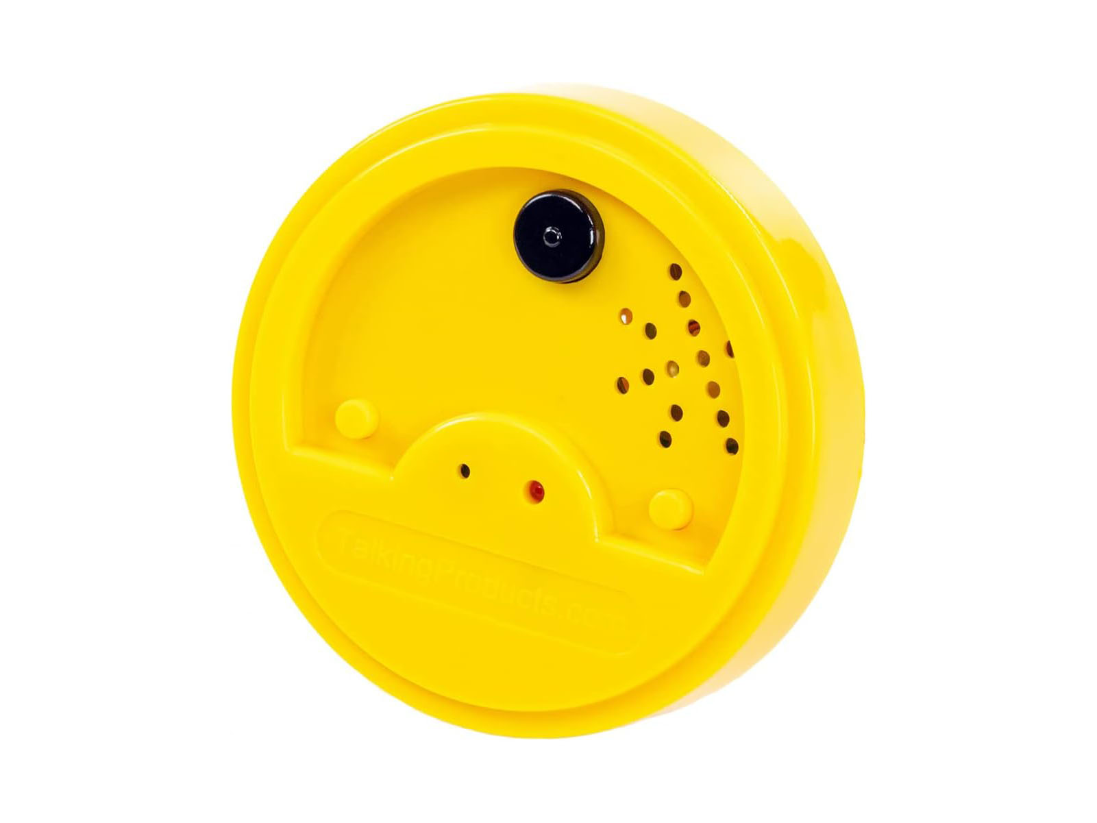 Schatzsuche Spiel - mit Tinotalk Sprechenden Dosen (6er Set)